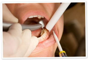 endodonZIA